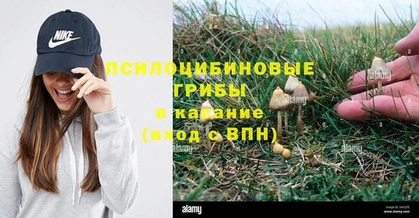 дживик Абаза