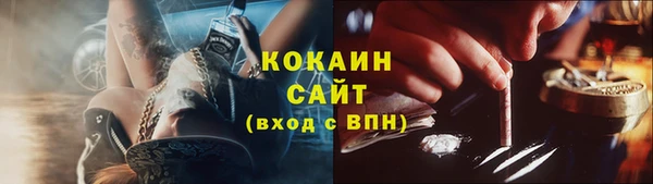 прущие грибы Абинск