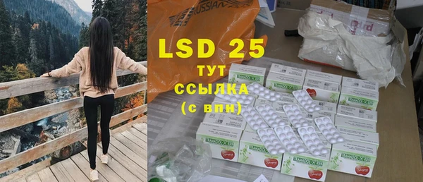 прущие грибы Абинск