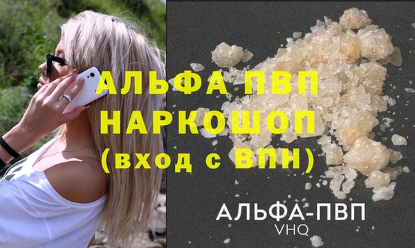 прущие грибы Абинск