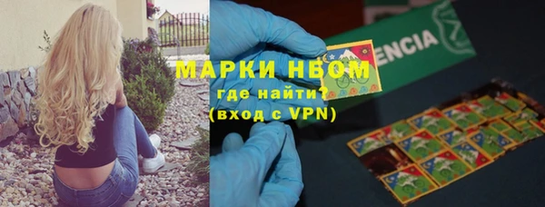 прущие грибы Абинск