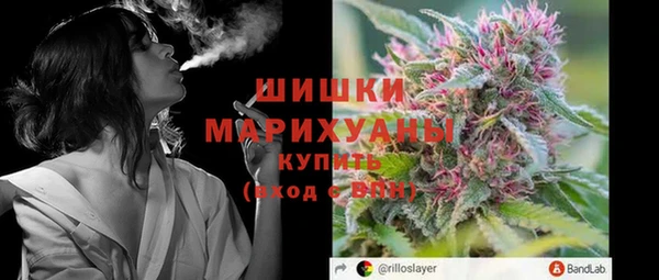 прущие грибы Абинск