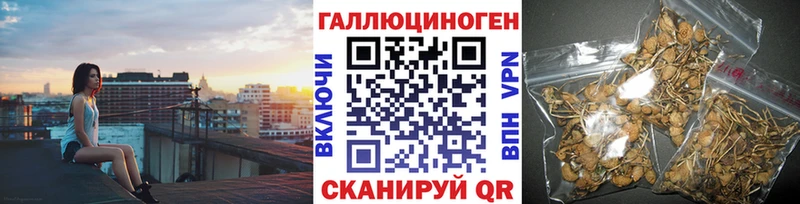 Галлюциногенные грибы MAGIC MUSHROOMS  где найти наркотики  Липецк 