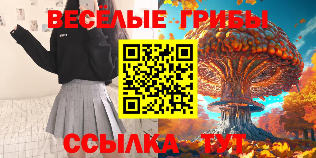 наркота  Вход с VPN  Липецк  Галлюциногенные грибы Psilocybine cubensis 